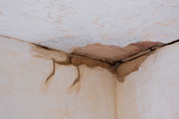 Best Water damage contractors near me  in Nowata, OK